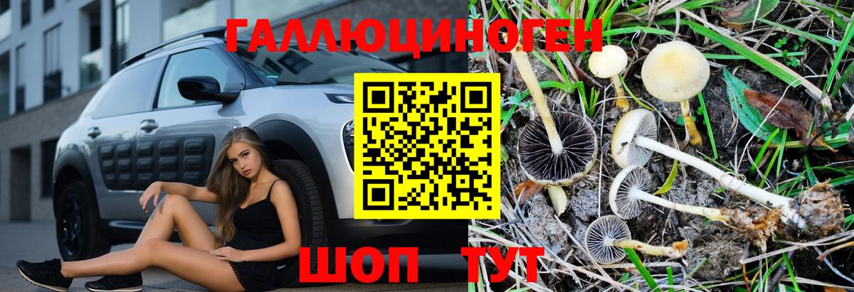 Большой Камень  Псилоцибиновые грибы GOLDEN TEACHER  Вход с VPN 